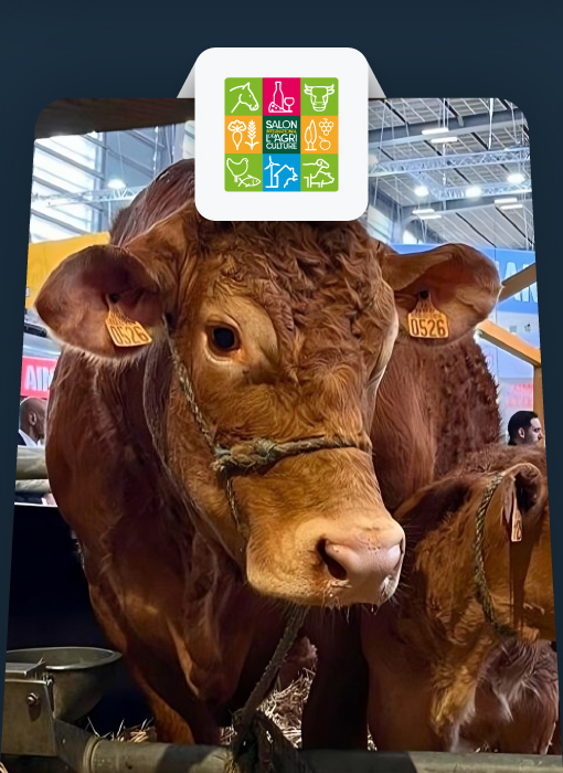 نمایشگاه دامداری پاریس، SIA